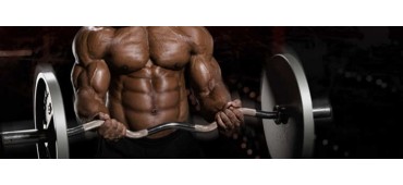 Comment prendre de la masse musculaire?